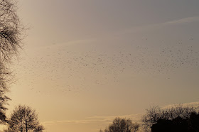 Norfolk countryside landscape photographs 2015