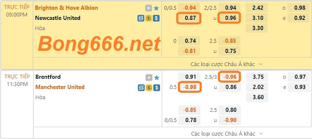 ST666 Kèo chuẩn Brighton vs Newcastle (Ngoại Hạng Anh-Ngày 13/8) St-ngoaihanganh-13-8