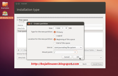 Ubuntu 12.10