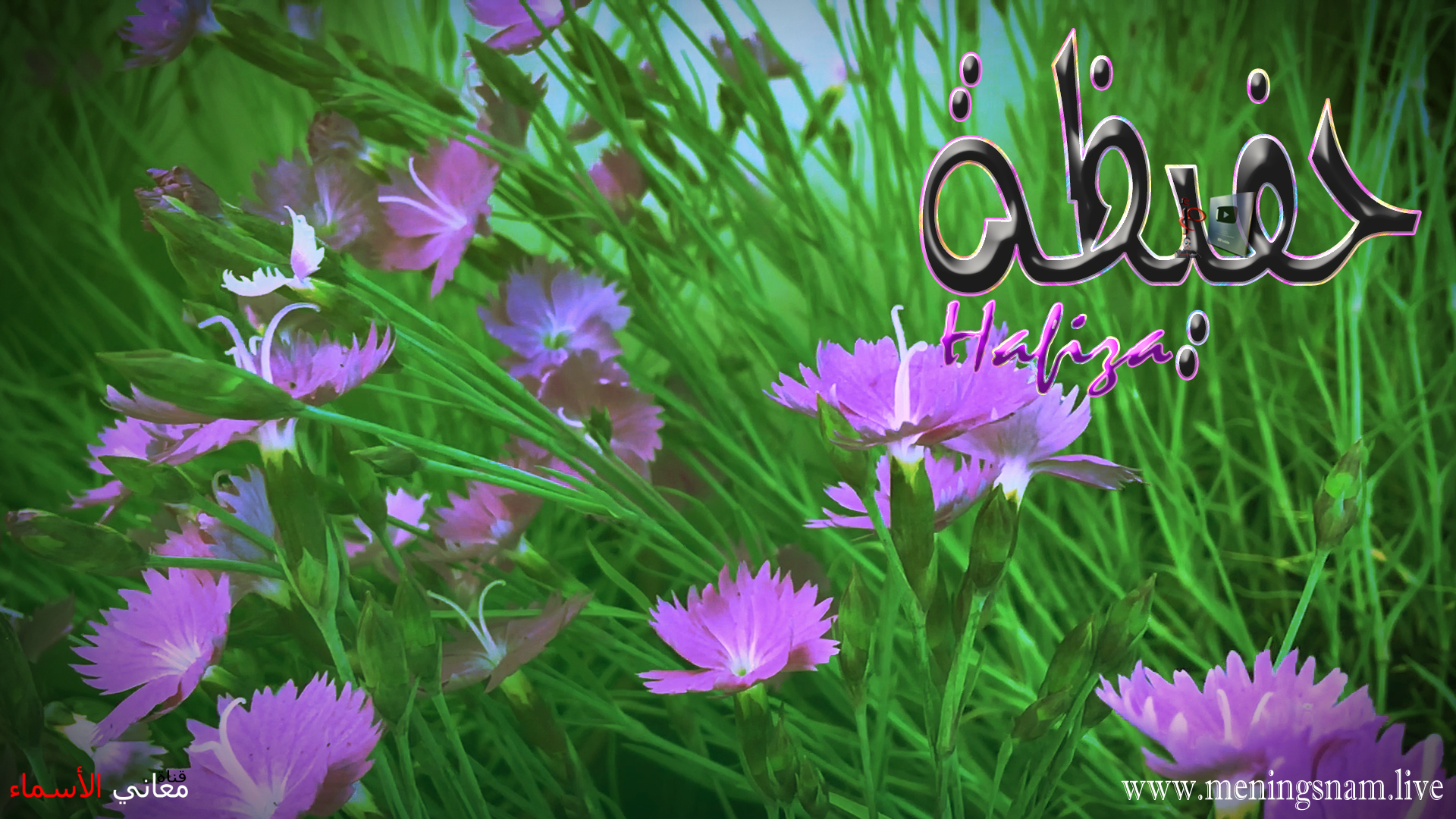 معنى اسم, حفيظة, وصفات, حاملة, هذا الاسم, Hafiza,