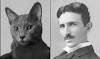 La inspiración detrás de la mente brillante de Nikola Tesla: La leyenda del gato Macak