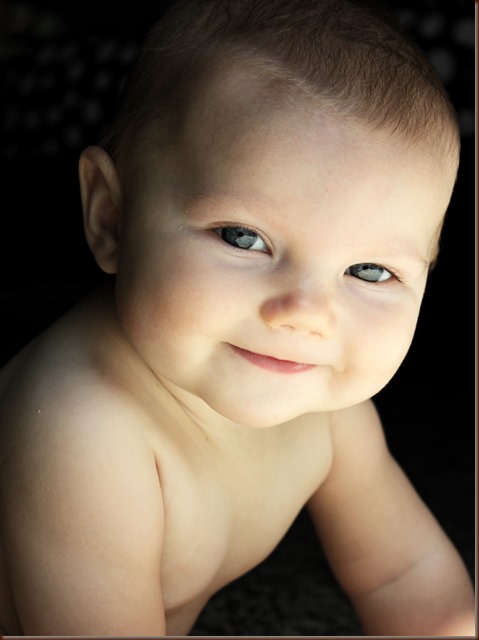GerberBaby copy