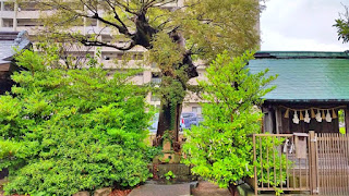 人文研究見聞録：須衛都久神社 ［島根県］