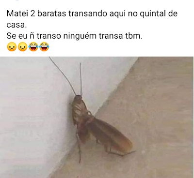 Se não tem não atrapalha a dos outros