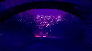 Aesthetic Purple Neon Wallpaper