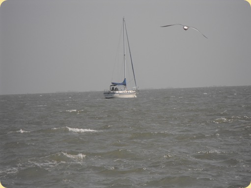Corpus to SA 198