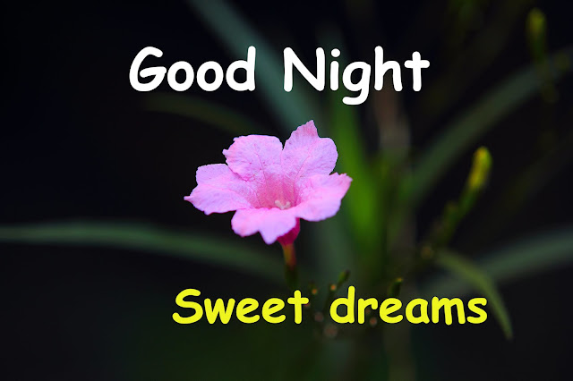 Good Night Sweet Dream