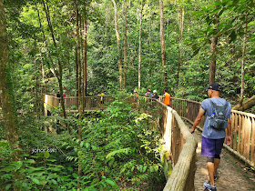 Road Trip from Singapore to Tasik Kenyir Lake with Wheels for Fun