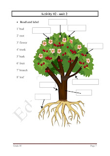 Grade 5 English Model Paper - Qualitative Module