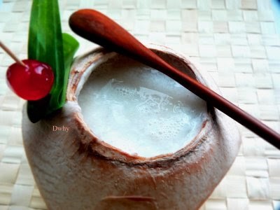 Koleksi Resepi Kegemaran: Puding kelapa muda