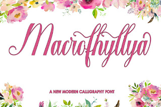 Macrofhyllya Script Font  Free  Download 