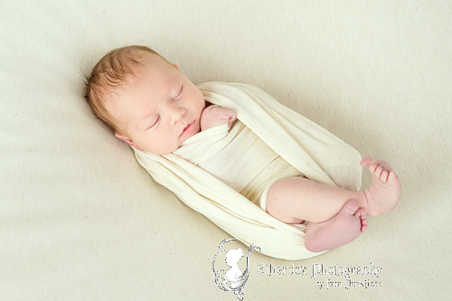 Professional portrait of a newborn baby using a round backdrop stand