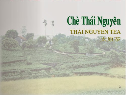 báo thái nguyên và chè thái nguyên