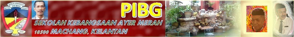 PIBG SKAM 2011