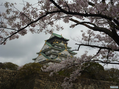 大阪城と桜