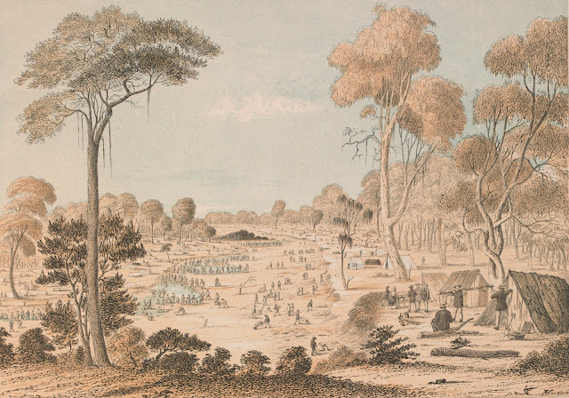Forest Creek, Mt. Alexander; 1851