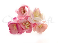 https://cherrycraft.pl/pl/p/Kwiat-wisni-MIX-ROZOWY-5-szt.-Wild-Orchid-Crafts-/2639