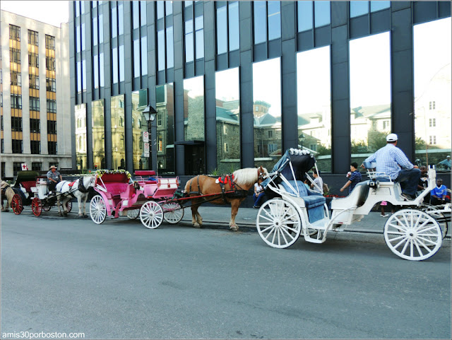 Coches de Caballos en Montreal, Canadá