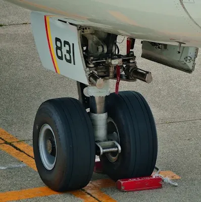 JA831A Boeing 787-8 Dreamlinerの前輪