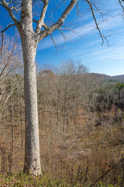 Doyel Valley Overlook, Mammoth Cave National Park