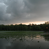 View Summer storm