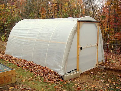 Green House Untuk Tanaman Anda