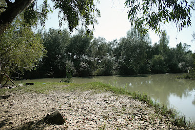 Confluencia del arroyo Buitrago y el río Guadalete (octubre 2009)