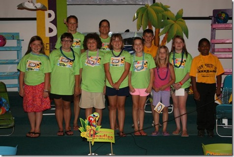 VBS2011