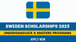 Top 20 Scholarships in Sweden 2023/2024 | Fully Funded