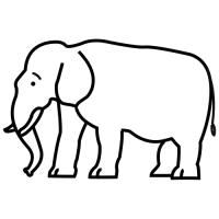 elefante