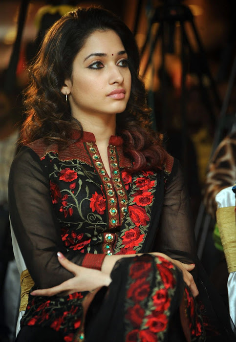 tamanna new from badrinath 50days event, tamanna new beautiful latest photos