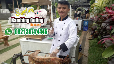 Kambing Guling COD Bandung,Kambing Guling Bandung,