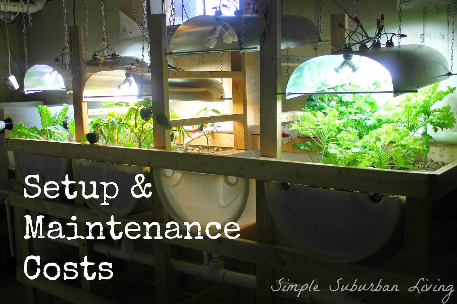 Aquaponics System Design - Setup and Maintenance Costs