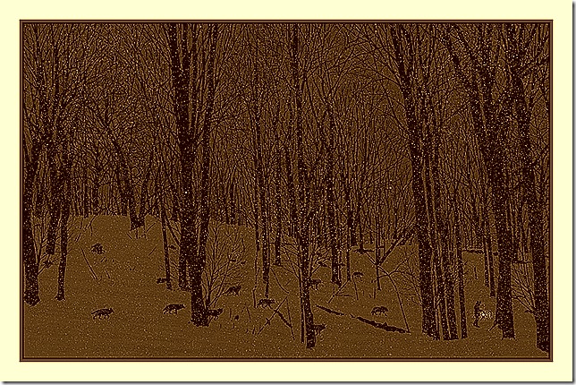 Dan McCarthy - Guiding Light, 2010