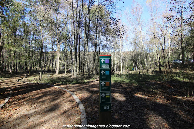 Turó i empedrat de Morou (Montseny)