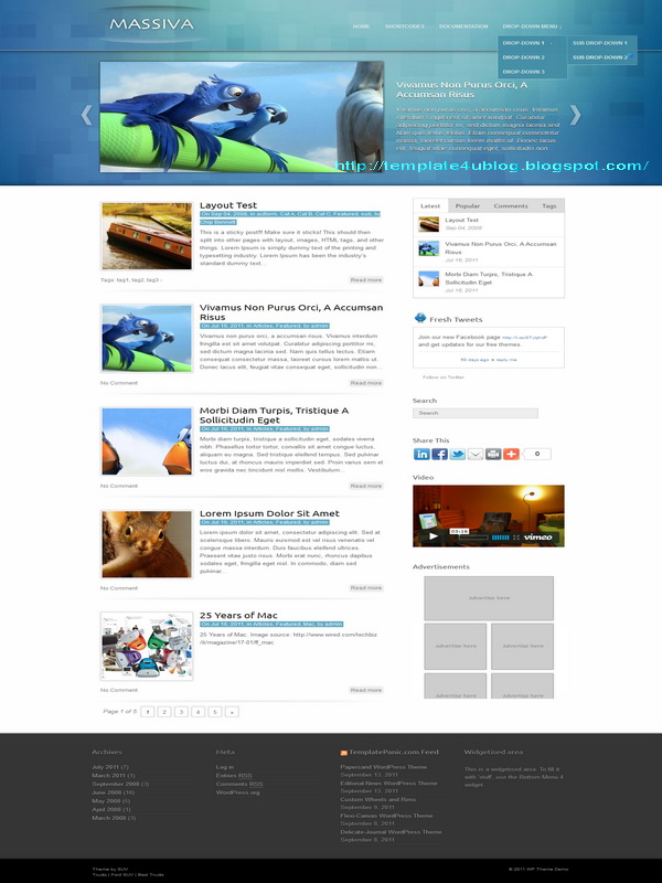 Massiva WordPress Theme