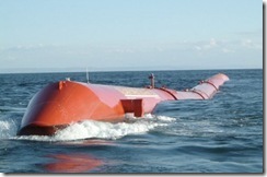 pelamis