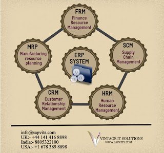 SAP ERP System