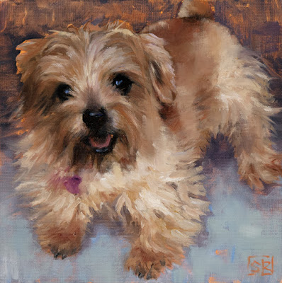 Norfolk Terrier, dog portrait, fine art, commissioned pet portrait, oil painting, © Shannon Reynolds 2016