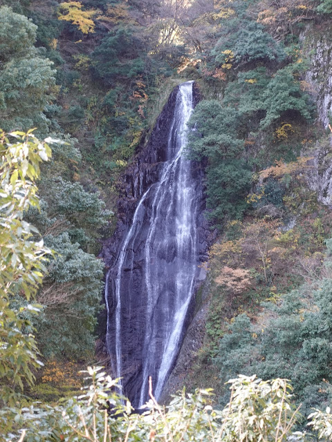 船上山の鱒返しの滝