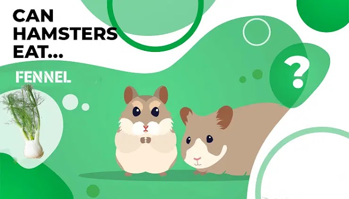 Fennel: Can Hamsters Eat It? Everything You Need to Know About Fennel and Your Furry Friend