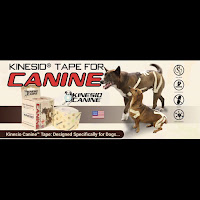 Kinesio Canine