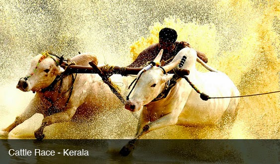  Kerala Houseboat Tour