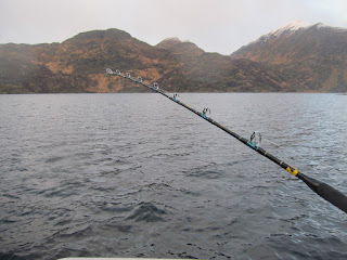 Fishing at fjord