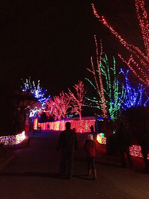 Zoolights Oregon Zoo