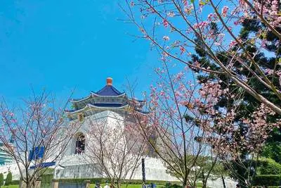 台灣賞櫻花景點-秘境資訊