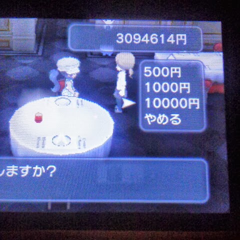 ポケットモンスターy攻略メモ チップのなぞ 生臭坊主のゲームメモ