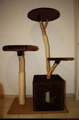 Arbre pour chat en bois naturel d'acacia et sisal