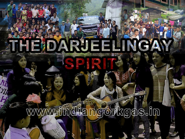 "Endangered Species: The Darjeelingay Spirit"- A Confused man's perspective.