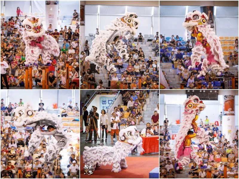 泰山獅王梅花樁獅藝爭霸賽泰山綜合體育館桃園機場捷運泰山站